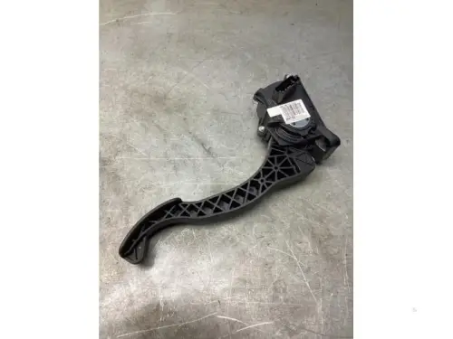 Gaspedaalpositie Sensor-8103469
