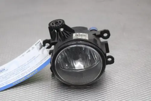 Mistlamp rechts-voor-