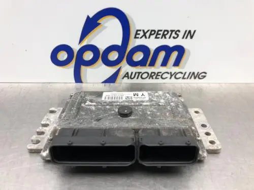 Computer Motormanagement-8256459