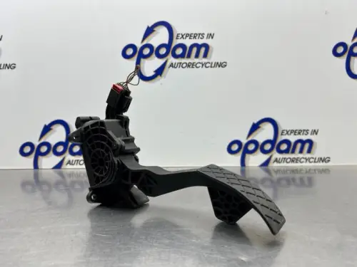 Gaspedaal-8269556