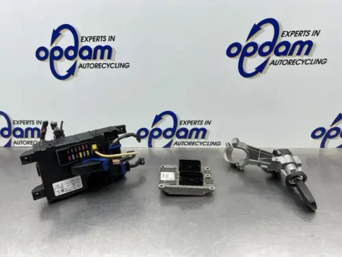 Computer Motormanagement-8318014