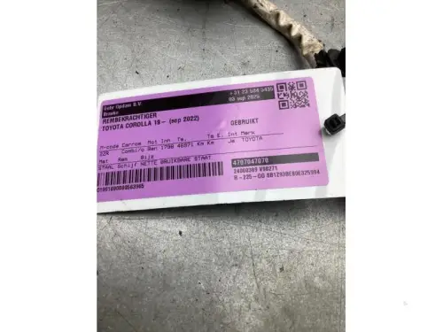 Rembekrachtiger-8153459