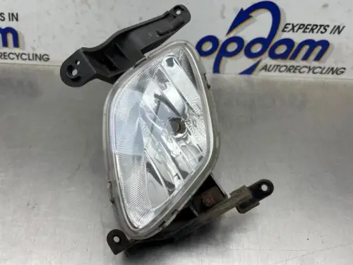 Mistlamp links-voor-8260866