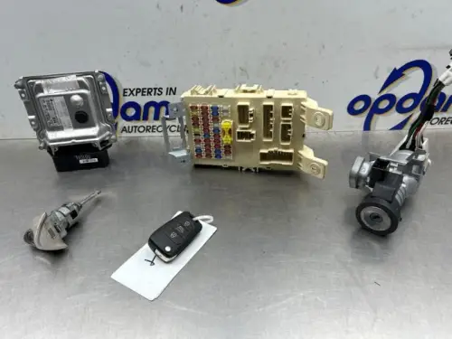 Computer Motormanagement-8260866