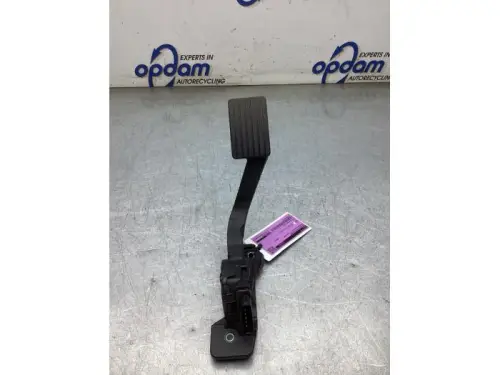 Gaspedaalpositie Sensor-8295067