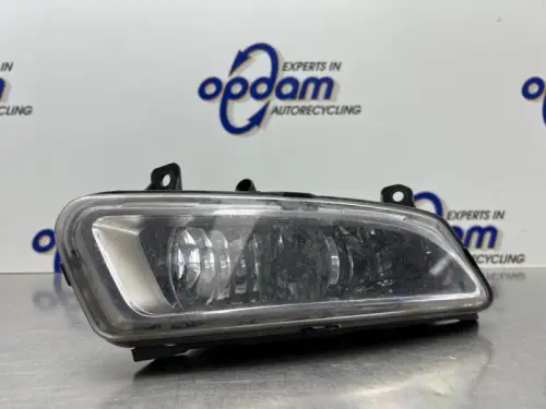 Mistlamp rechts-voor-8301366