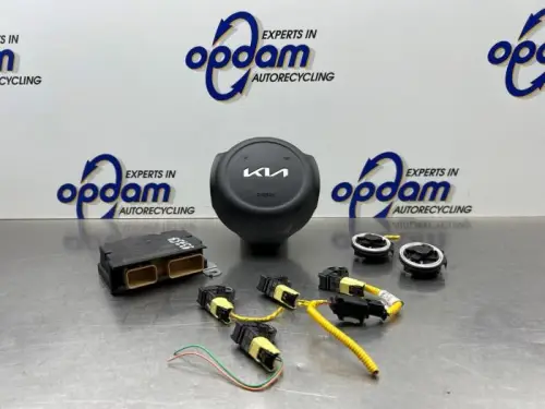 Airbag Set+Module-8341294