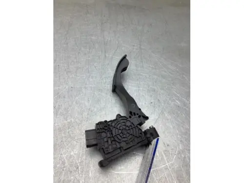 Gaspedaalpositie Sensor-8241374