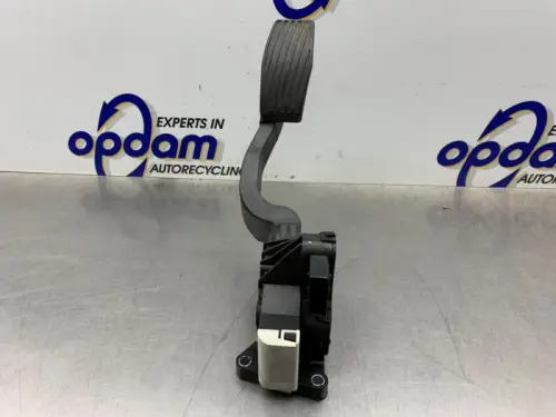 Gaspedaal-8338522