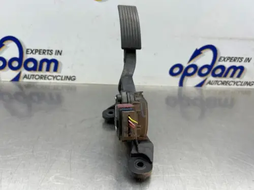 Gaspedaal-8360069