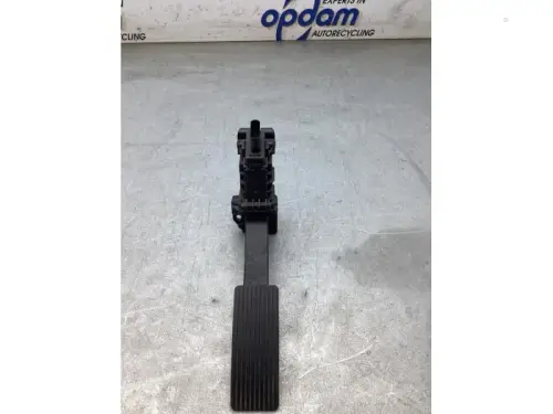 Gaspedaalpositie Sensor-8254528