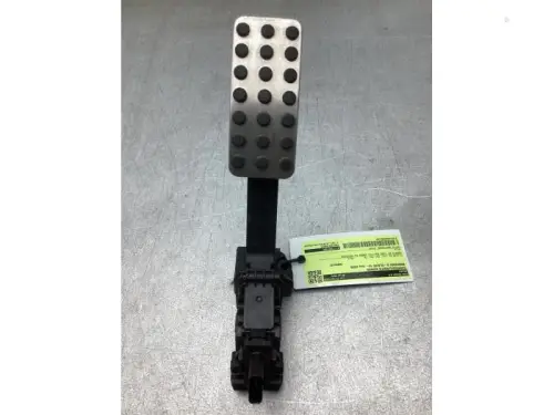 Gaspedaalpositie Sensor-8056679