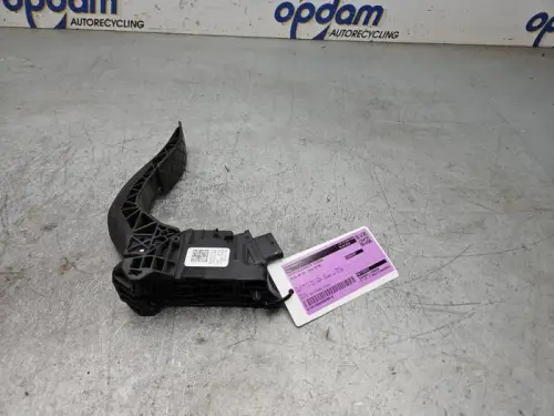 Gaspedaalpositie Sensor-8169928