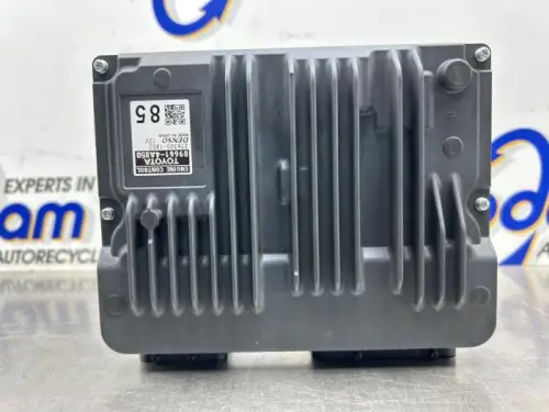 Computer Motormanagement-