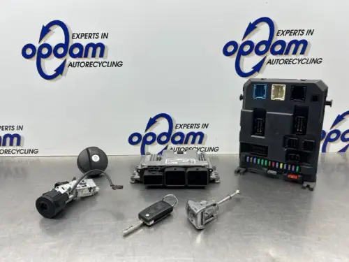 Computer Motormanagement-8187513