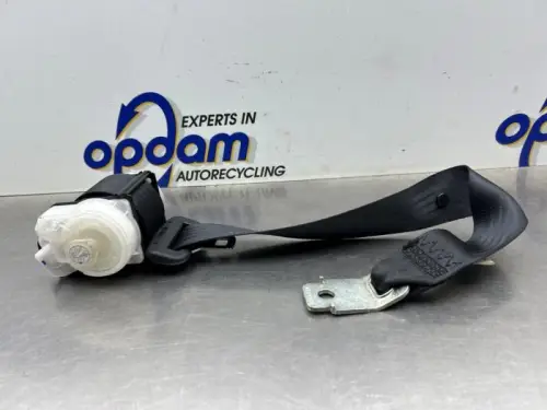 Veiligheidsgordel midden-achter-8289583
