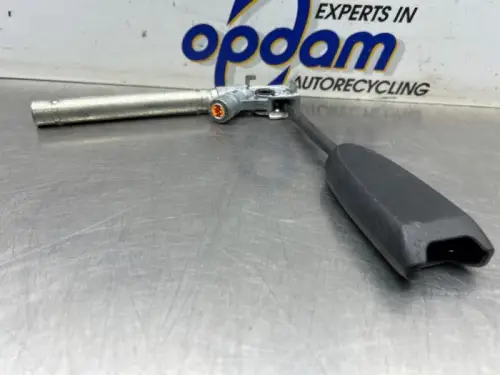 Gordelspanner rechts-8224286