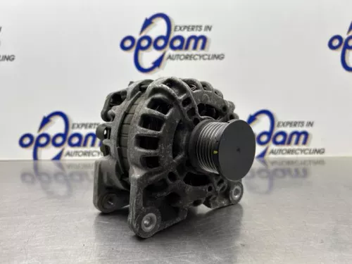 Dynamo-8315005 (22543859)