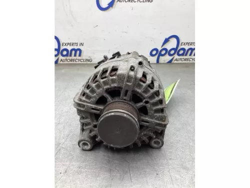 Dynamo-8284463 (22392128)