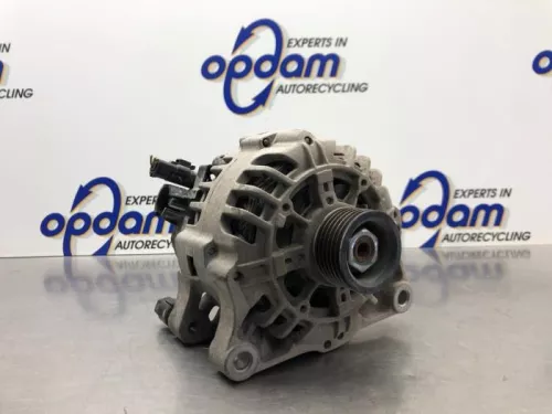 Dynamo-8258716