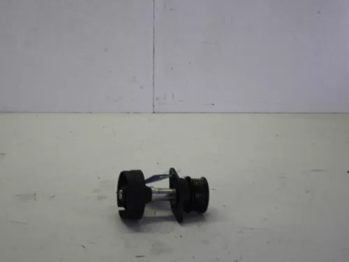 Dynamo poelie-7883506 (9257398)
