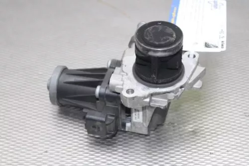EGR Klep-
