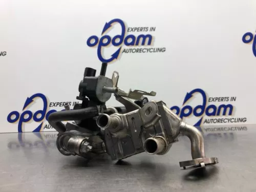 EGR Klep-8075482