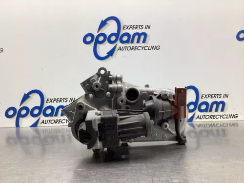 EGR Klep-8046853
