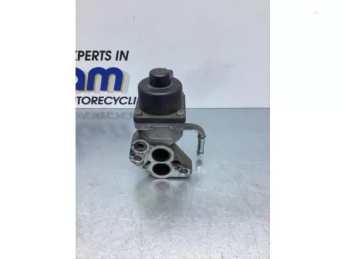EGR Klep-6920368 (16966506)