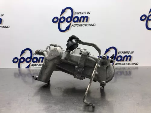 EGR Klep-7981474