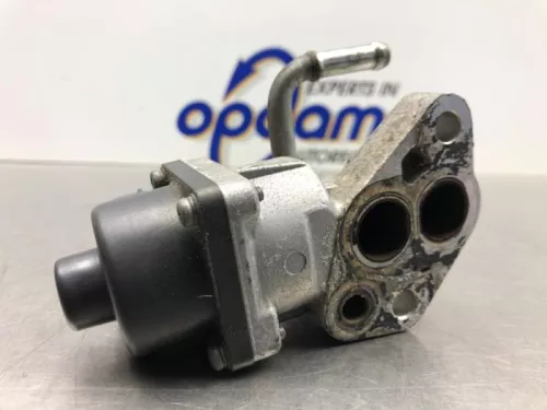 EGR Klep-8180251 (21849365)