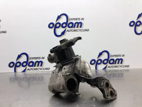 EGR Klep-8141710