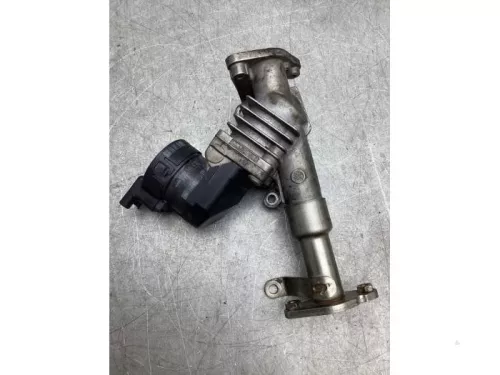 EGR Klep-