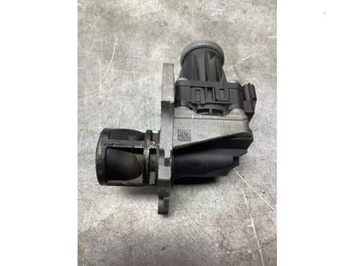 EGR Klep-