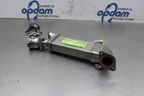 EGR Klep-