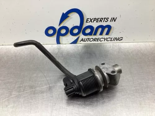 EGR Klep-8036192