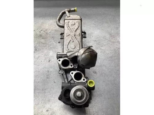 EGR Klep-