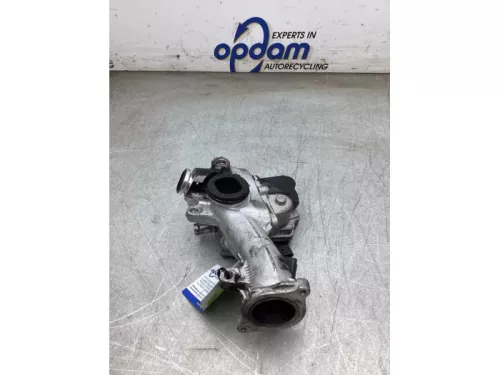 EGR Klep-