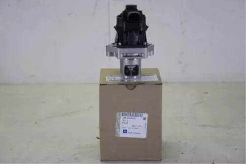 EGR Klep-