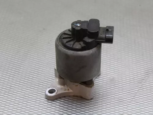 EGR Klep-7886234