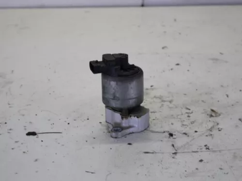EGR Klep-7883962