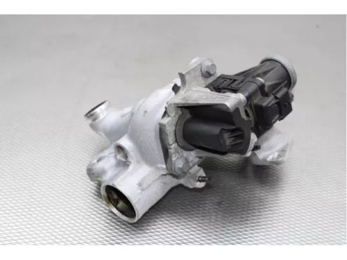 EGR Klep-