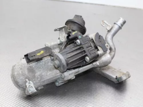 EGR Klep-