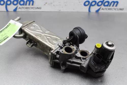 EGR Klep-