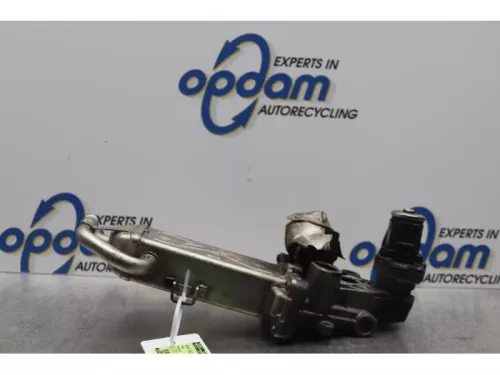 EGR Klep-