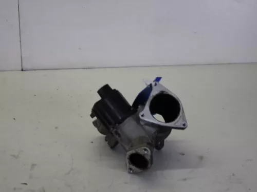 EGR Klep-