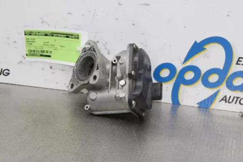 EGR Klep-