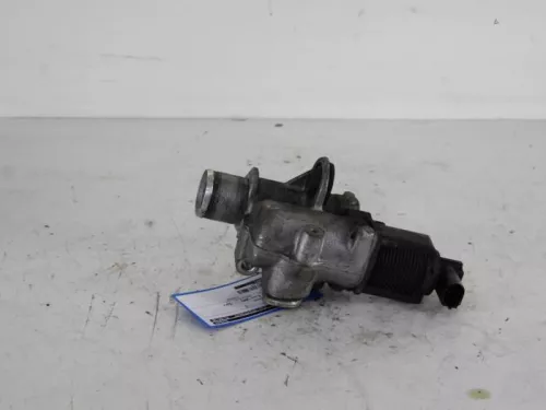 EGR Klep-