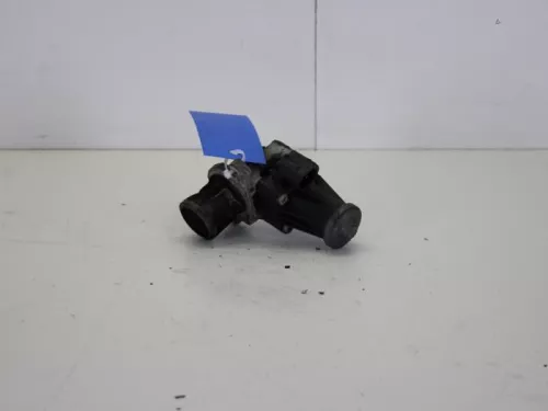 EGR Klep-