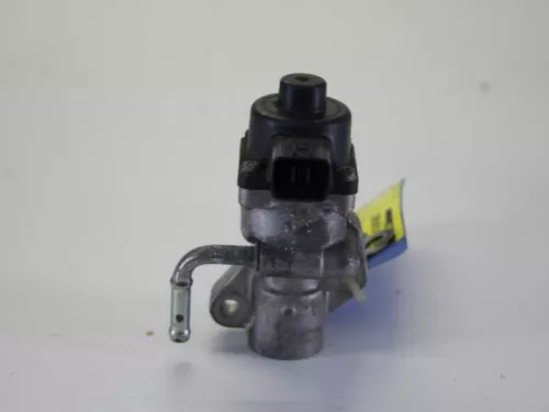 EGR Klep-